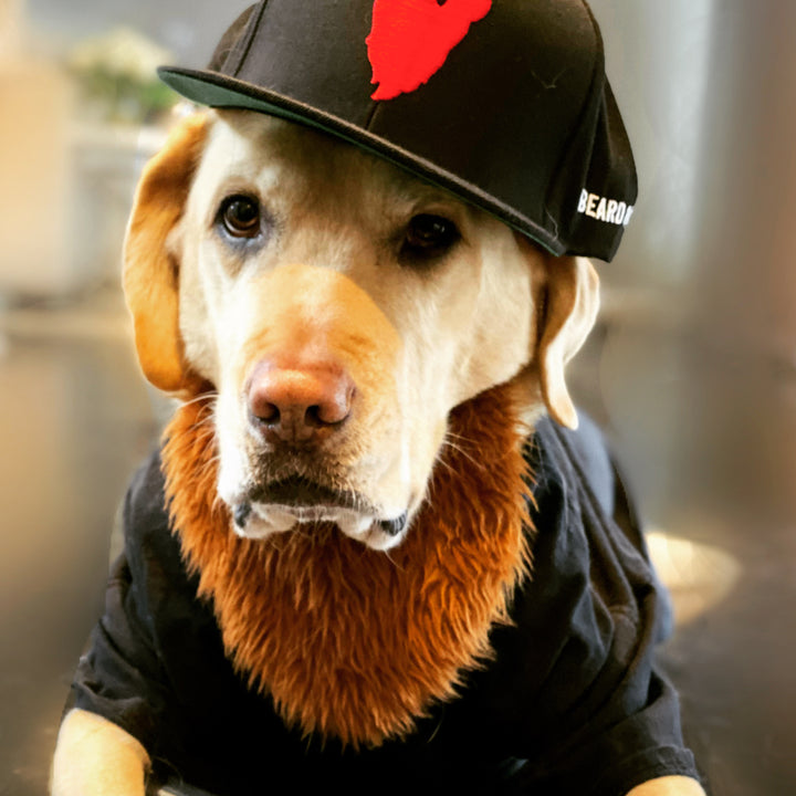 Shamus