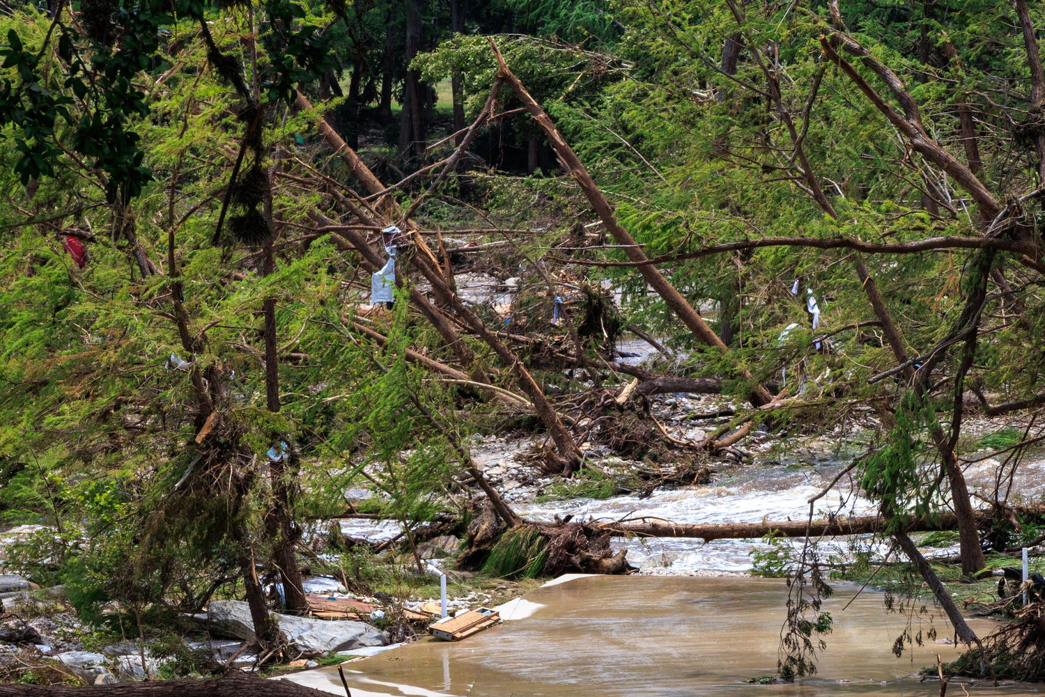A Feel-Good Win for the Hill Country